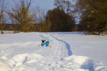 Similar image 16147613