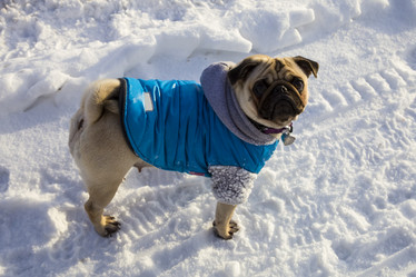 Similar image 16147650