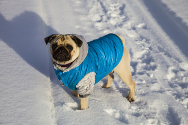 Similar image 16147843