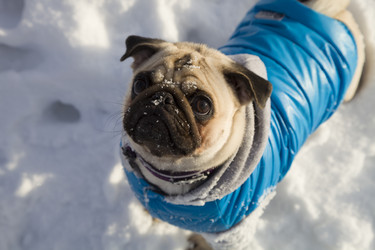 Similar image 16147665