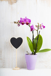 Similar image 16147771