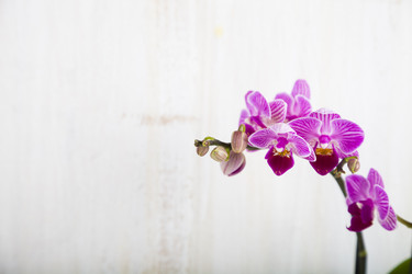 Similar image 16148114