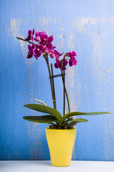 Similar image 16149184