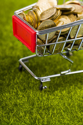 Similar image 16154116