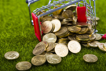 Similar image 16154166