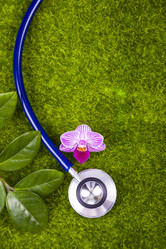 Similar image 16150876