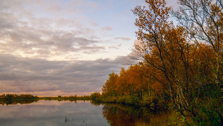 Similar image 16315268