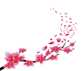 Similar image 16223634