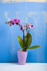 Similar image 16150956