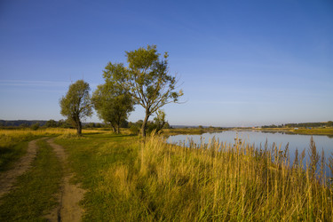 Similar image 16151017