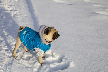 Similar image 16154233