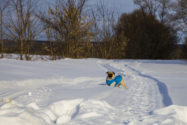 Similar image 16154263