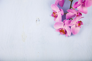 Similar image 16144431