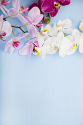 Similar image 16144446