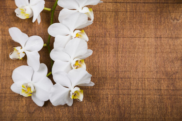 Similar image 16144479