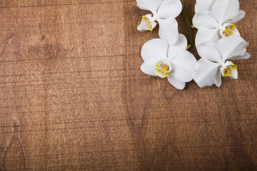 Similar image 16144497