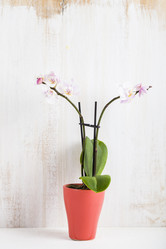 Similar image 16146109