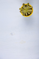 Similar image 16161349