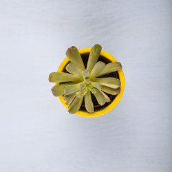 Similar image 16161363