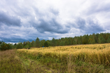 Similar image 16120590