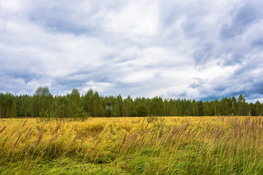 Similar image 16120655