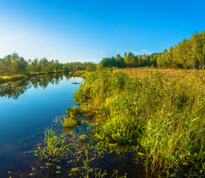 Similar image 16158681