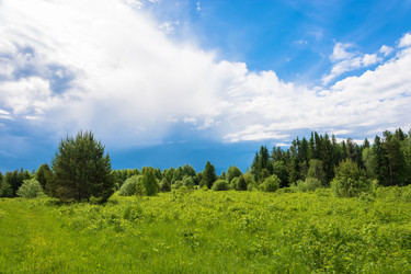 Similar image 16164338