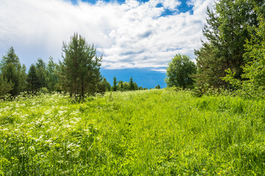 Similar image 16164524