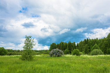 Similar image 16164622