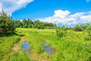 Similar image 16164659