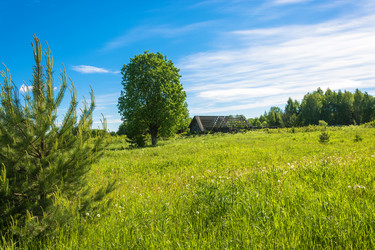 Similar image 16164853