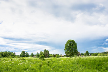 Similar image 16164908