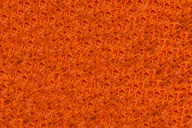 Similar image 15927724