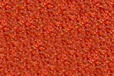 Similar image 15927728