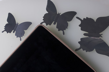 Similar image 16337893