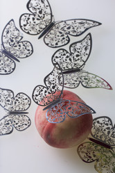 Similar image 16338149