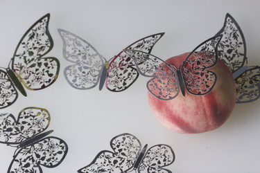 Similar image 16338150