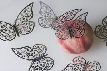 Similar image 16338152