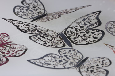 Similar image 16338155