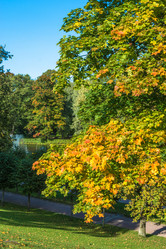 Similar image 16121155