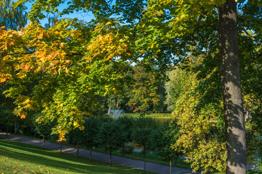 Similar image 16121238