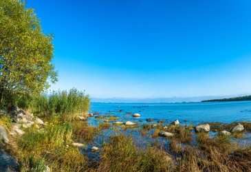 Similar image 16165023