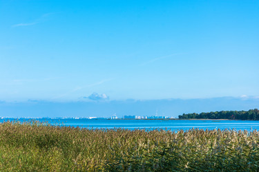 Similar image 16165302