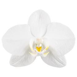 Similar image 16144723