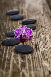 Similar image 16144739