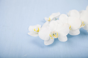 Similar image 16150210