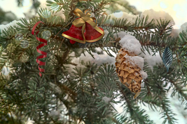 Similar image 15924524