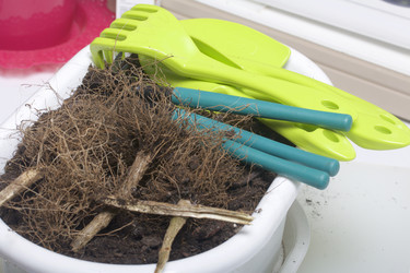 Similar image 16338243