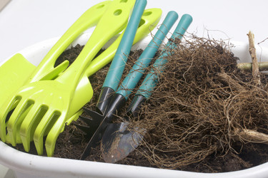 Similar image 16338245