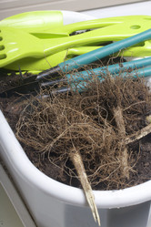 Similar image 16338246